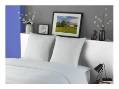 DODO Almohada|2 Almohadas Plumettes MERIBEL 60 x 60 cm