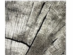 the carpet Alfombra Marla Diseño Moderno Árbol, Natural, 160 cm redondo Color natural oscuro Outlet