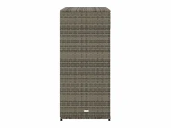 Annemarie Armario de almacenaje de jardín ratán PE 105x55x113 cm^Garden Furniture Discount