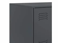 vidaxl Cajonera De Escritorio|Aparador de acero antracita 67x39x107 cm