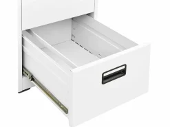 Armario archivador de acero 46x62x72,5 cm^vidaxl Clearance