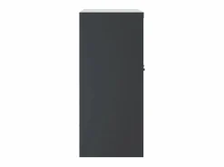 Armario Oficina|Armario archivador de acero 79x40x90 cm ES455073