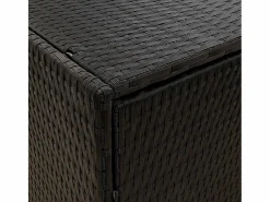 vidaxl Armario de almacenaje de jardín ratán PE 59x40x180 cm Negro Outlet