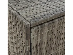 vidaxl Armario de almacenaje de jardín ratán PE 59x40x180 cm Gris Clearance
