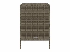 vidaxl Baúl De Jardín|Armario de almacenaje de jardín ratán PE 55x59x80 cm