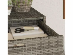 vidaxl Baúl De Jardín|Armario de almacenaje de jardín ratán PE 55x55x111 cm
