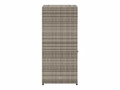 vidaxl Baúl De Jardín|Armario de almacenaje de jardín ratán PE 55x55x111 cm