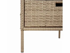 Armario de jardín 55x59x80 cm resina trenzada Beige New