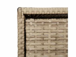 Armario de jardín 55x59x80 cm resina trenzada Beige New