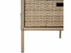 Armario de jardín 55x59x80 cm resina trenzada Beige New