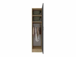 Armario haaus Pedro, 1 puerta, Roble Artisan/Antracita, 40 x 51 x 170 cm^ Hot