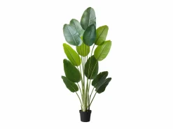 Planta Artificial|Ave del Paraíso Artificial SucceBuy, 1,8 m, Planta Artificial Tropical en Maceta, Falso Árbol Tropical, Planta Falsa Hojas Polietileno para Salón