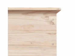 vidaxl Baúl Y Arcón|Baúl de almacenaje con ruedas ALTA madera maciza 73x39,5x43 cm