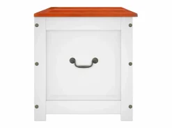 vidaxl Baúl de almacenaje con tapa madera de acacia marrón y Blanco Sale