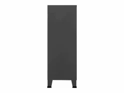 vidaxl Baúl de almacenaje industrial metal antracita 75x40x115 cm Gris antracita