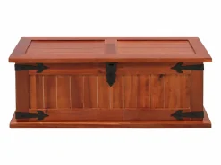 vidaxl Baúl Y Arcón|Baúl de almacenamiento de madera maciza de acacia 60x25x22 cm