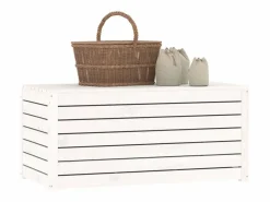 vidaxl Baúl De Jardín|Baúl de jardín madera maciza de pino 101x50,5x46,5 cm