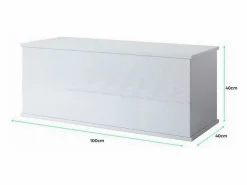 MB Muebles Bonitos Baúl Y Arcón|Accesorios De Almacenaje|Baúl para Dormitorio en 100x40x40cm Ariel