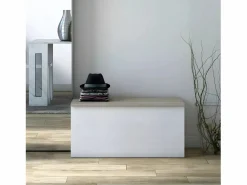 Terraneo Banco baúl para contenedor de almacenamiento de entrada salón Marru00f3n Clearance