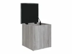 Banco Y Pie De Cama|Banco Y Pie De Cama|Banco con almacenaje madera ingeniería Sonoma 42x42x45 cm ES575106