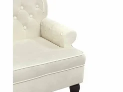 vidaxl Banco Y Pie De Cama|Banco Y Pie De Cama|Banco con respaldo terciopelo color 119,5x64,5x75 cm