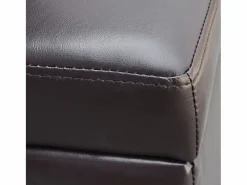vidaxl Banco Y Pie De Cama|Banco Y Pie De Cama|Banco largo de almacenamiento de madera marrón