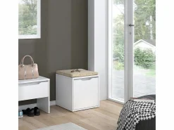 Vicco Zapatero|Mueble De Almacenaje|Banco para zapatos 40x40x40.6 ruben