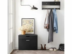 Sobuy Zapatero|Mueble De Almacenaje|Banco Zapatero con 1 Solapa para Entrada Banco de Almacenamianto con Cojín Acolchado de Asiento 60 x 30 x 50 cm FSR95-SCH ES