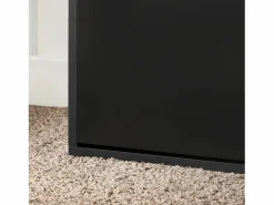 Sobuy Zapatero|Mueble De Almacenaje|Banco Zapatero con 1 Solapa para Entrada Banco de Almacenamianto con Cojín Acolchado de Asiento 60 x 30 x 50 cm FSR95-SCH ES