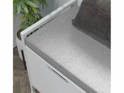 Homcom Banco zapatero Flow asiento + 2 compartimentos 50x84x35 cm Blanco Best