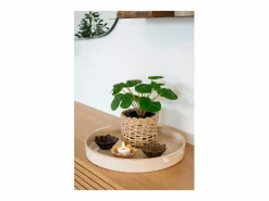ebuy24 Bandeja de cerámica blanca Ø 37 cm Blanco Hot