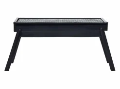 Barbacoa portátil para camping 60x22,5x33 cm^vidaxl Outlet