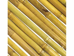 NORTENE Cercados Y Ocultación|Cañizo entero barnizado bambooflex 2X3 M