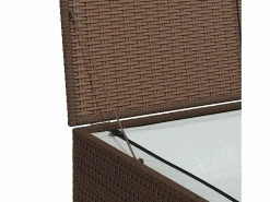 Caja de almacenaje jardín ratán sintético marrón 150x100x100 cm^vidaxl Hot