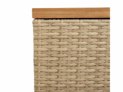 Caja de almacenamiento de jardín hecha de resina tejida y madera de acacia^