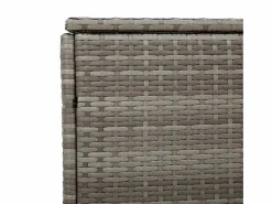 Caja de almacenamiento de jardín 110x50x58 cm resina tejida^ New