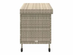 Caja de almacenamiento de jardín y ruedas de mimbre de resina claro Gris Hot