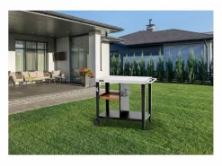 Habitat et jardin Carro de servicio para barbacoa "Gelia" 117 x 59 cm - Acero inoxidable - Negro Hot