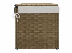 Cesto De Ropa|Cesta para ropa con tapa 55,5x35x34 cm resina tejida