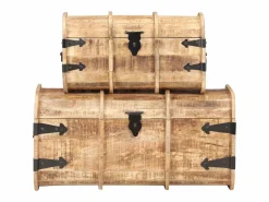 vidaxl Baúl Y Arcón|Cofres de almacenamiento 2 unidades madera maciza de mango