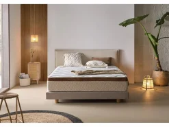 Eccox Colchón Relax|Colchón 67,5x200 Visco 25 cm +/-2 REAL BIO CONFORT.