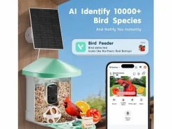 Comederos para Aves Inteligente SucceBuy con Cámara, 2K HD, Especies IA, Alimentado por Energía Solar^ Sale
