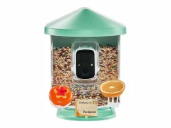 Comederos para Aves Inteligente SucceBuy con Cámara, 2K HD, Especies IA, Alimentado por Energía Solar^ Sale