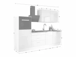 Cocina Completa|Conjunto de cocina: Blanco Mate, Hormigón, dimensiones: ancho: 250 cm, alto: 220 cm, fondo: 60 cm