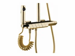 Conjunto De Ducha Con Termostato Rob Termostat Gold^Rea Hot