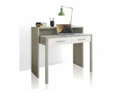 Consola / Escritorio RICHMOND CEMENT Gris claro Outlet