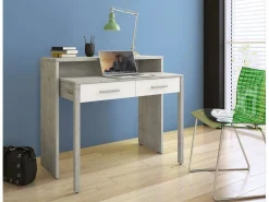 Consola / Escritorio RICHMOND CEMENT Gris claro Outlet