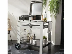 Cook'in Garden - Plancha eléctrica + tapa de hierro fundido FINESTA - 2,5 kW Negro Hot