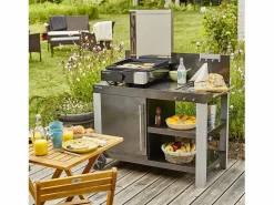 Cook'in Garden - Plancha eléctrica + tapa de hierro fundido FINESTA - 2,5 kW Negro Hot