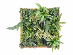 OZAIA Panel De Pared|Cuadro vegetal sintético 55 x 55 cm, Marco natural, Follaje , LOVARK